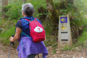 From Braga: Camino de Santiago Accessible Tour for Seniors