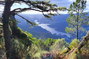 From Porto: Peneda-Gerês National Park Day Trip