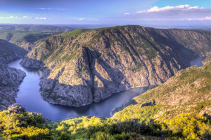 Depuis Santiago : Excursion historique et artistique à la Ribeira Sacra avec croisière
