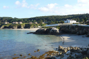 Guided snorkel tour in Burela