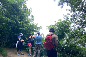 Hike Ulia | San Sebastian: El Camino de Santiago (The Way)