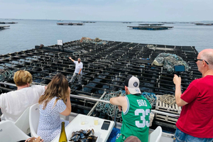 La Toja: Boat Tour at the Arousa estuary with mussel tasting