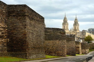 LUGO: GUIDED VISIT TO LUGO, INCLUDING ENTRANCE TO THE CATHEDRAL AND THE DOMUS