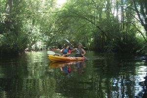 Miño river Kayaking: Biosphere reserve exploration
