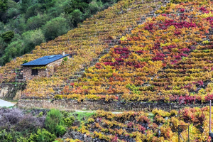 Ribeira Sacra: Sil Canyon Swing Photo Entry