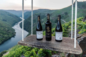 Ribeira Sacra: Vineyard Walk & Wine Tasting