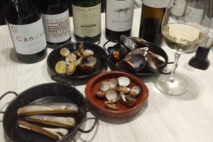 Santiago de Compostela: Wine and Seafood Tasting