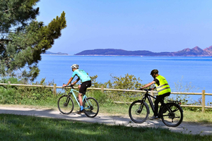 Vigo: Discover Vigo by EBIKE - English or Spanish