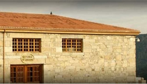 Bodega Amandi