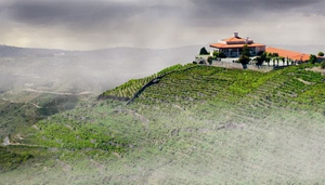 Bodegas Regina Viarum