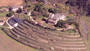 Bodegas Ruchel