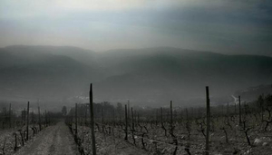 Bodegas Valdesil