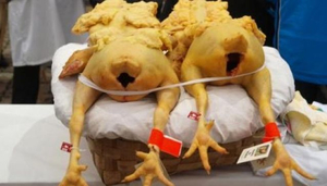 Capon de Vilalba