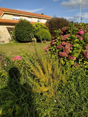 Casa rural agro da moa