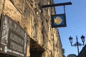 Galicia en Otoño: Cata de Vinos y Tours por Viñedos