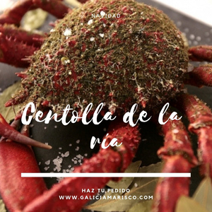 Galicia Marisco