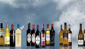 HGA Bodegas