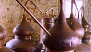 Lagar de Cervera