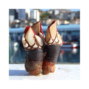 Mariscos Gontelo