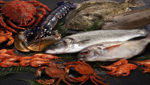 mariskito.com