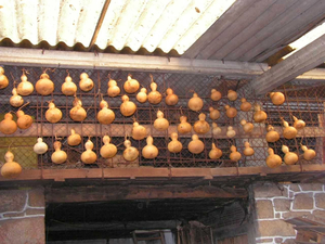 Mesa de Pedra (Stone Table, medieval tavern)