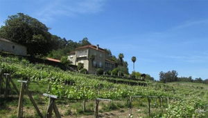 Pazos de Lusco Bodegas