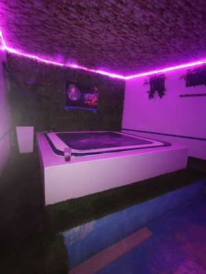 Sauna Odin