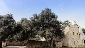 The Camp Doniños
