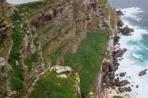 Cape Town: 3-Day Cape Agulhas, Safari, & Winelands Tour