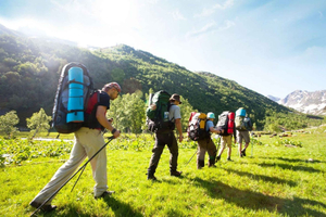 Cape Town and Garden Route with Accommodation 8 Day Tour