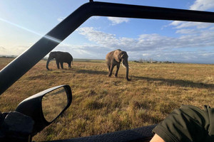 From Cape Town: 3-Day Safari, Penguins & visit to Mossel Bay