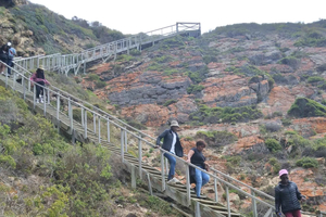From Knysna: Mossel Bay Heritage & Garden Route Tour