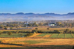 Desde Knysna: ruta panorámica privada por la montaña hasta Oudtshoorn