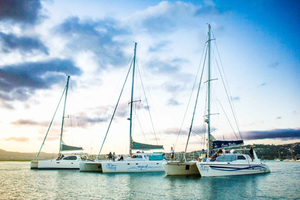 Knysna: Luxury Catamaran Marine Adventure Tour