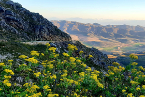 Oudtshoorn: Half-Day Swartberg Pass Private Guided Tour