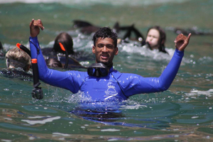 Plettenberg Bay: Seal Swimming Experience