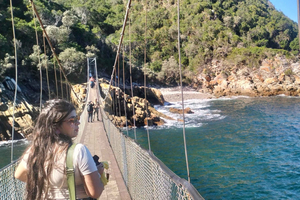 Tsitsikama National Park full-day: Port Elizabeth