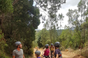 Tsitsikamma: Mountain Bike Rental with Scenic Trails