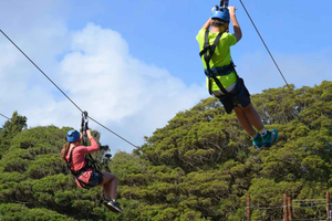 Tsitsikamma National Park: Zipline Canopy Tour