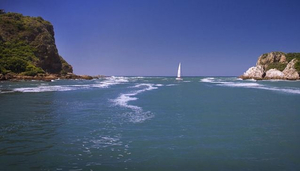 5 Wonders of Garden Route and Eastern Cape