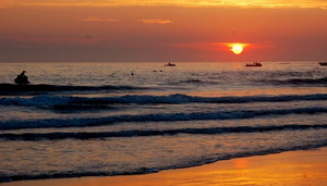 Port Elizabeth's Magnificent Seven