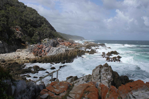 Escape the Winter Blues: Unforgettable Experiences in Garden Route
