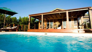 Elephant Hide Guest Lodge