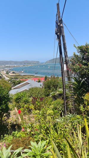 Knysna Paradise Guest House