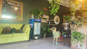 LEAF Indoor Plants & Botanical Wellness