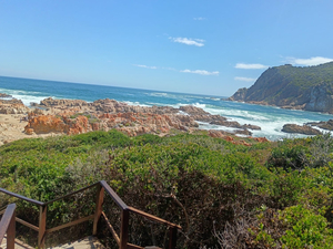 Leisure Isle Cove