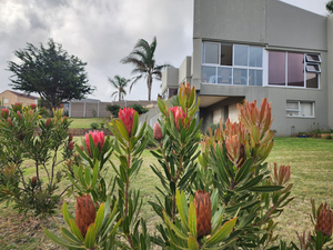 Lilies and Leopards Holiday Home