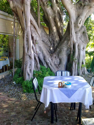 Lindy's Table on Leisure Island