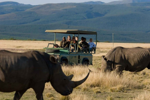Plettenberg Bay Game Reserve: 2-stündige Pirschfahrt