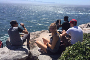 Discover the Charming Spring Gardens of Garden Route